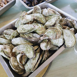 啪啪视频辣妞范热门内容